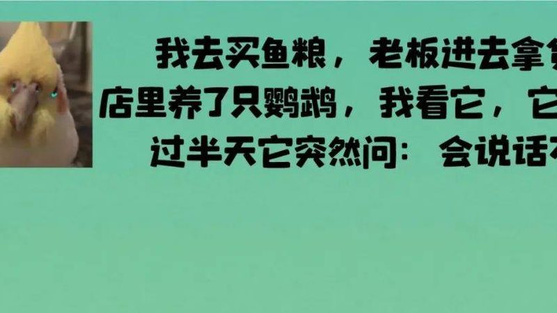 北京蜜饯果干批发商：揭秘优质果干的挑选之道